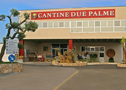 Cantina Due Palme, producteur de vins des Pouilles